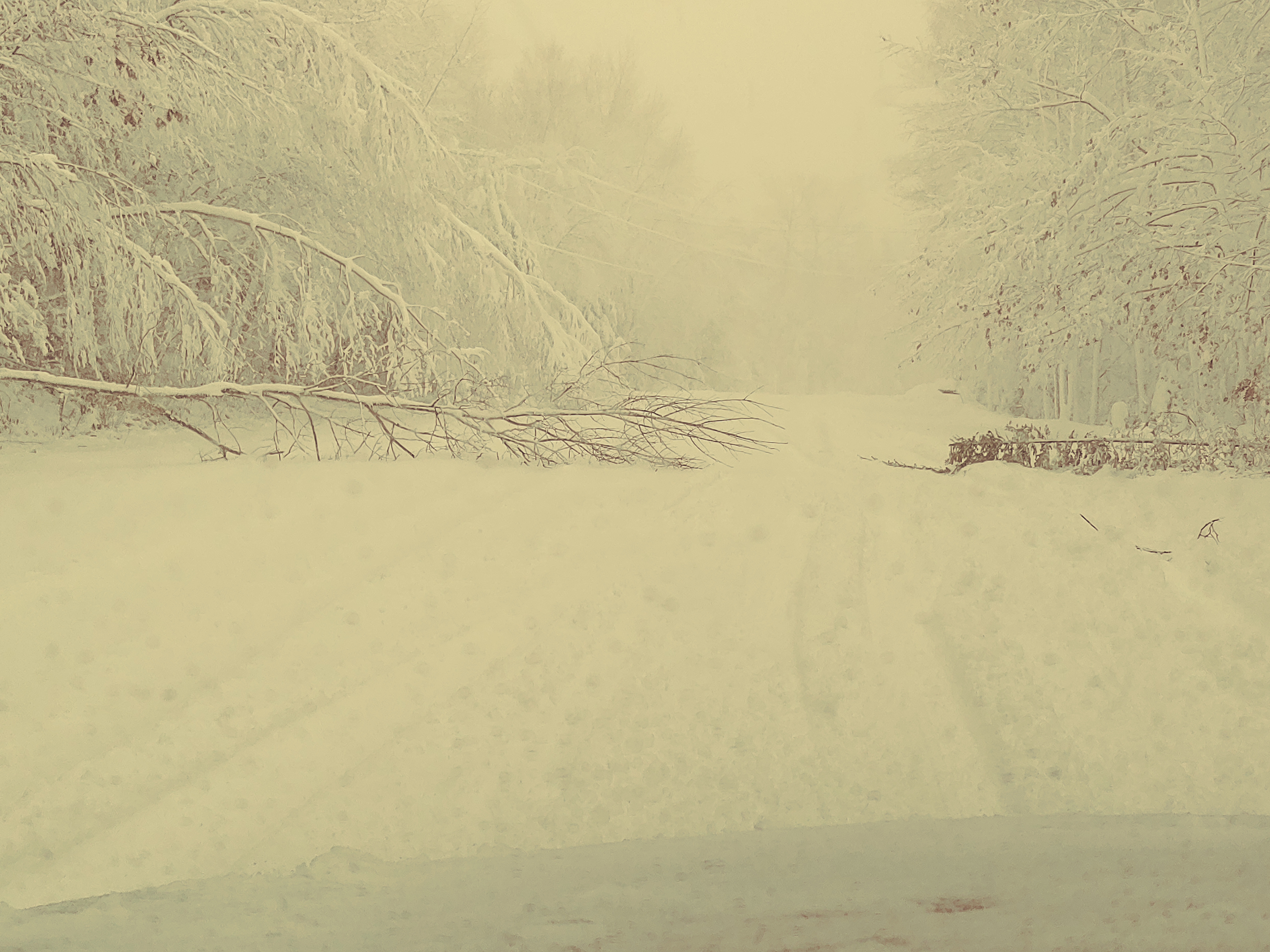 Winter Storm November, 27th 2019